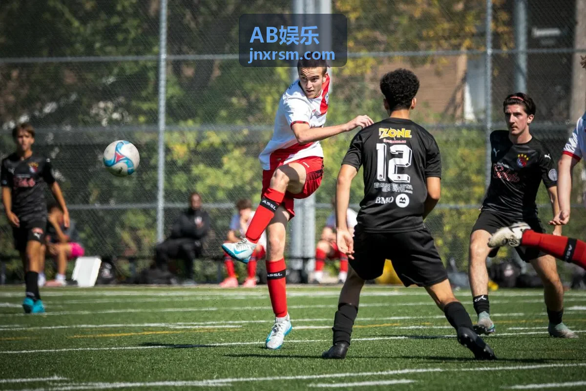AB娱乐粉丝运营服务